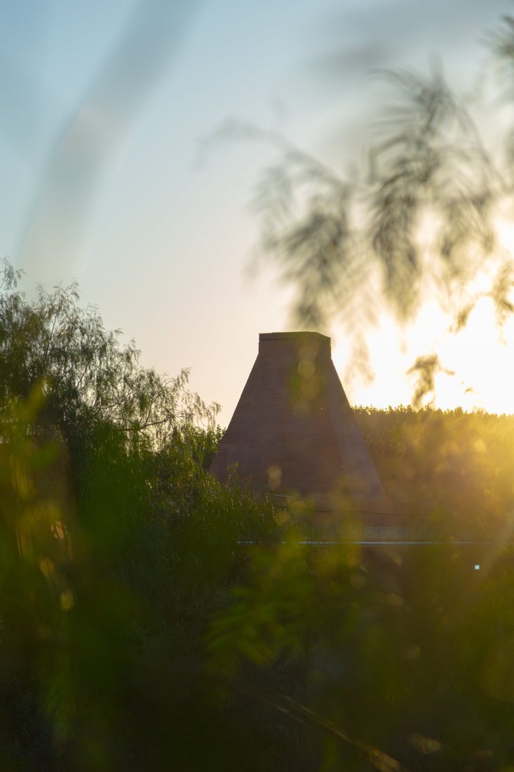 La pirámide del Zoco entre los árboles al atardecer